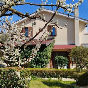 B&B Angolo Verde